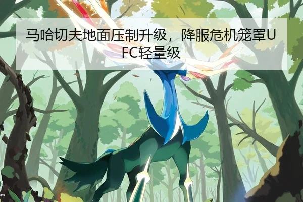 马哈切夫地面压制升级，降服危机笼罩UFC轻量级